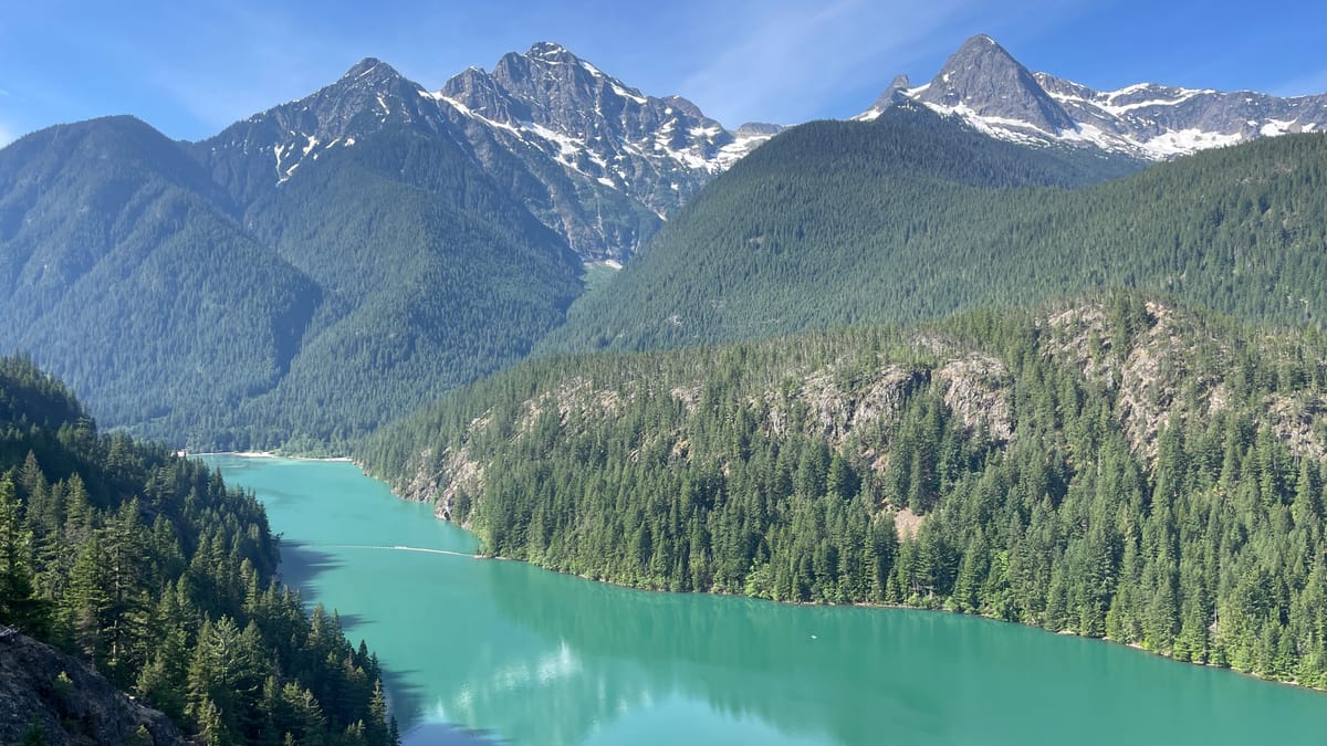 Welcome to Views From the Treehouse 💚